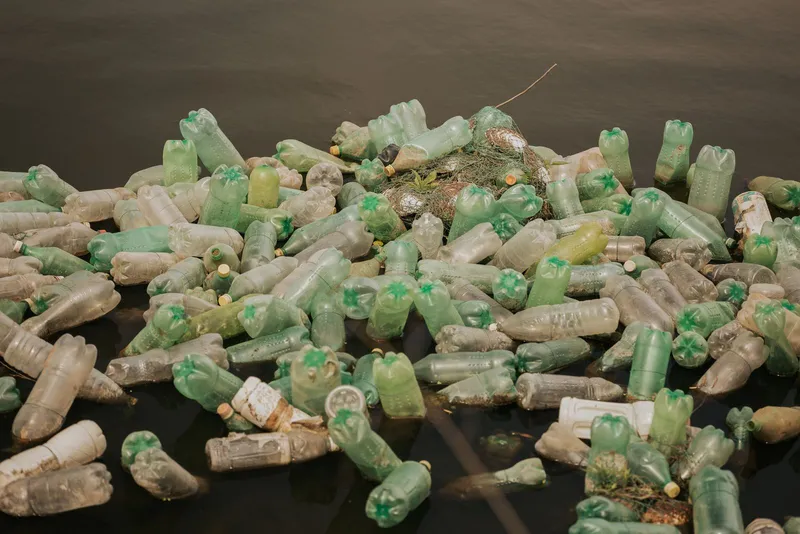 Botellas de plástico contaminando el agua